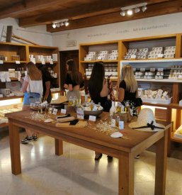 Vpis na Srednjo ekonomsko šolo in gimnazijo Maribor