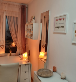 Vedeževanje Ljubljana