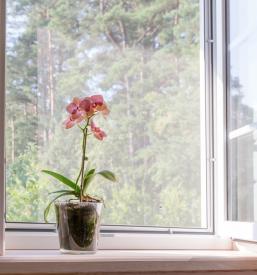 Prodaja in hitra montaža stavbnega pohištva Slovenija