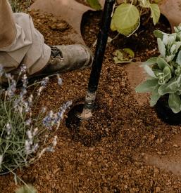 Urejanje okolice Slovenske gorice