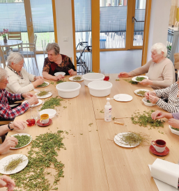 Pomoč za starejše na domu Pomurje