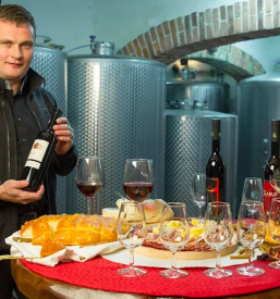 Degustacije vin, ogled vinske kleti v Beli krajini