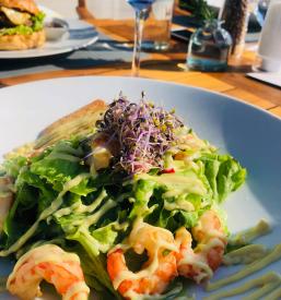 Prehransko svetovanje Ljubljana, Osrednja Slovenija