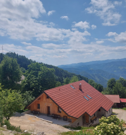 Najem apartmaja Idrija, Goriška