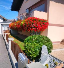 Kmečki turizem Štajerska