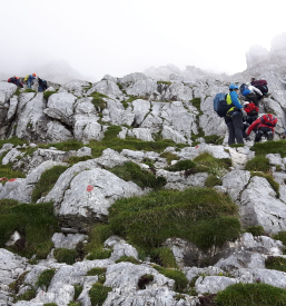 Članarina Planinsko društvo Novo mesto