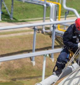 Dela in storitve na višini Savinjska