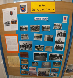 Košarka za dekleta Krško