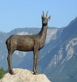 Nastanitev v apartmaju Bohinj