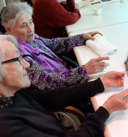 Nastanitev in aktivnosti za starejše Maribor, Podravje