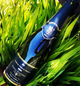 Winemaking in Posavje Slovenia