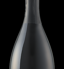 Ugodno vino v vinoteki Dolenjska