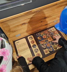 Underground mine experience Mežica