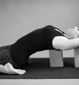 Vaditeljica joge Novo mesto