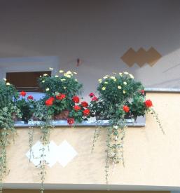 Fasaderska popravila