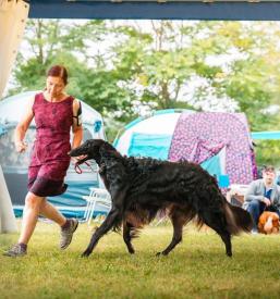 Fotografiranje živali Posavje