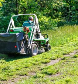 Urejanje okolice hiše in košnja trave Podravska