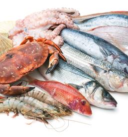 Prodaja svežih rib z dostavo Posavje