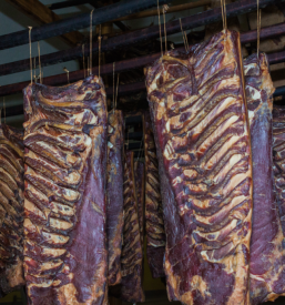 Domače mesnine in kruh Posavje