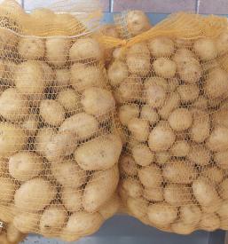 Pridelava in prodaja domače zelenjave Dolenjska