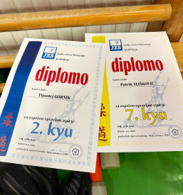 Ugodna vadba juda Ljubljana