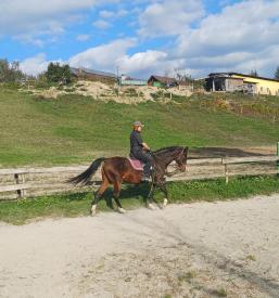 Terapevtsko, športno in rekreativno jahanje Ljubljana, okolica