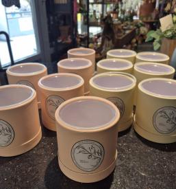 Beautiful presents Novo mesto