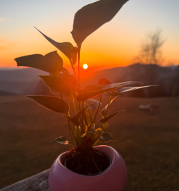 Planinski dom Dol pri Hrastniku