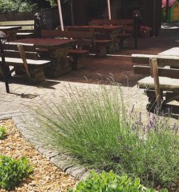 Prostor za praznovanja Koroška