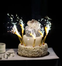 Prodaja tortnih fontan Slovenija