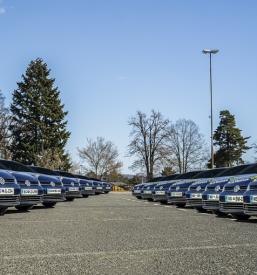 Tečaj CPP Slovenija