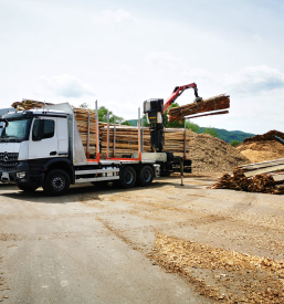 Hiter prevoz hlodovine po Sloveniji