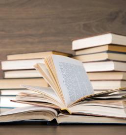 Raziskovalec za humanistične projekte Slovenija