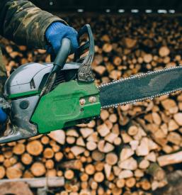 Odkup lesa Ljubljana