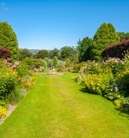 Urejanje okolice Savinjska