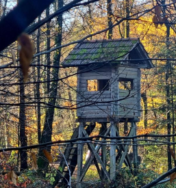 Javna naročila Občina Tabor