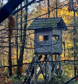 Javna naročila Občina Tabor
