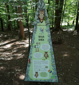 Igra iskanje zakladov po gozdu Gorenjska