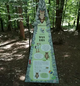 Igra iskanje zakladov po gozdu Gorenjska