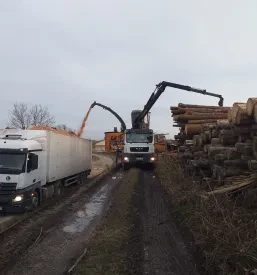 Varen prevoz hlodovine po Sloveniji