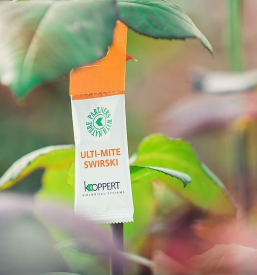 Prodaja sveže zelenjave Ljubljana