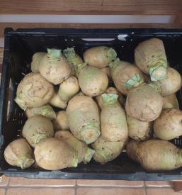 Pridelava in prodaja domače zelenjave Krško