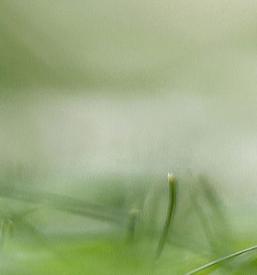 Storitve varstva pred požarom Brezovica