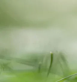 Storitve varstva pred požarom Brezovica