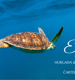 Organizacija križarjenj Ajdovščina, Nova Gorica