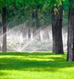 Ugodno urejanje okolice in košnja trave Jesenice