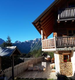 The best holiday house Logarska Dolina