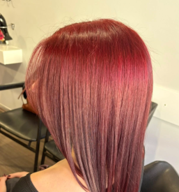 Barvanje las v salonu Štajerska