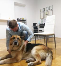 Bioterapija za pse Slovenija