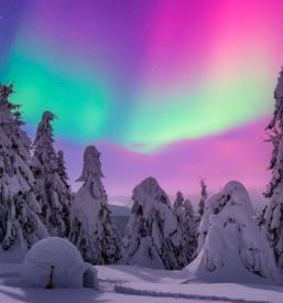 Organizacija prevozov Ajdovščina